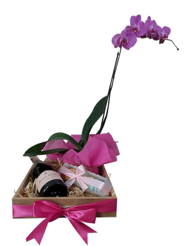 Arreglo orquidea y champagne rosado 