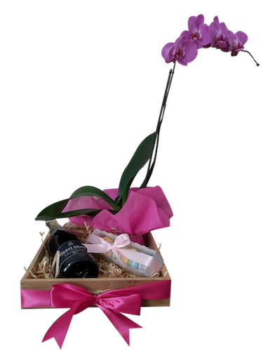 Arreglo orquidea y champagne